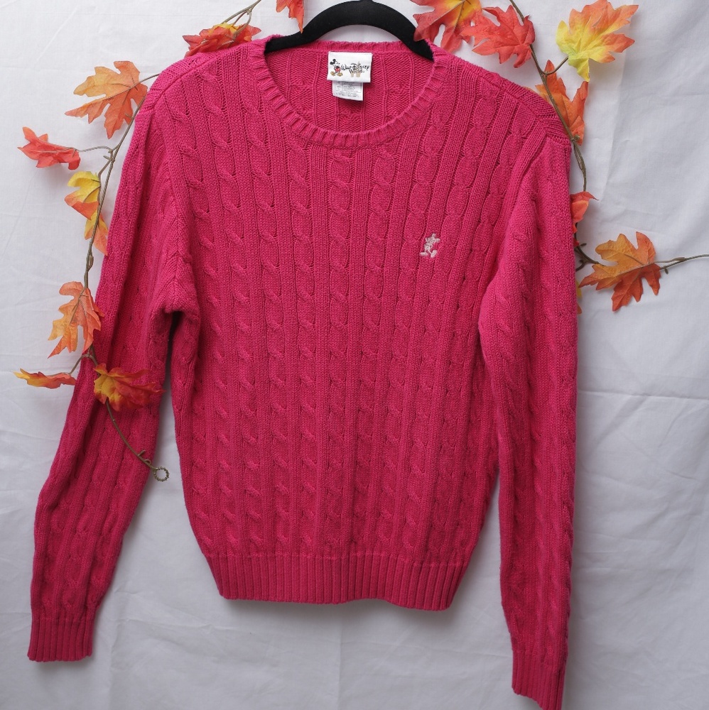 Disney World Sweater